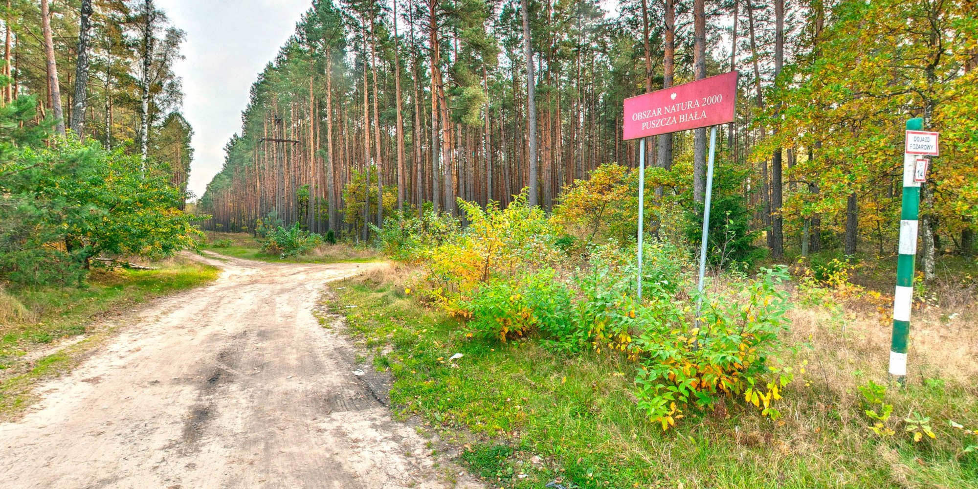 Puszcza Biała - Gmina Ostrów Mazowiecka | Prezentacja Panoramiczna ...